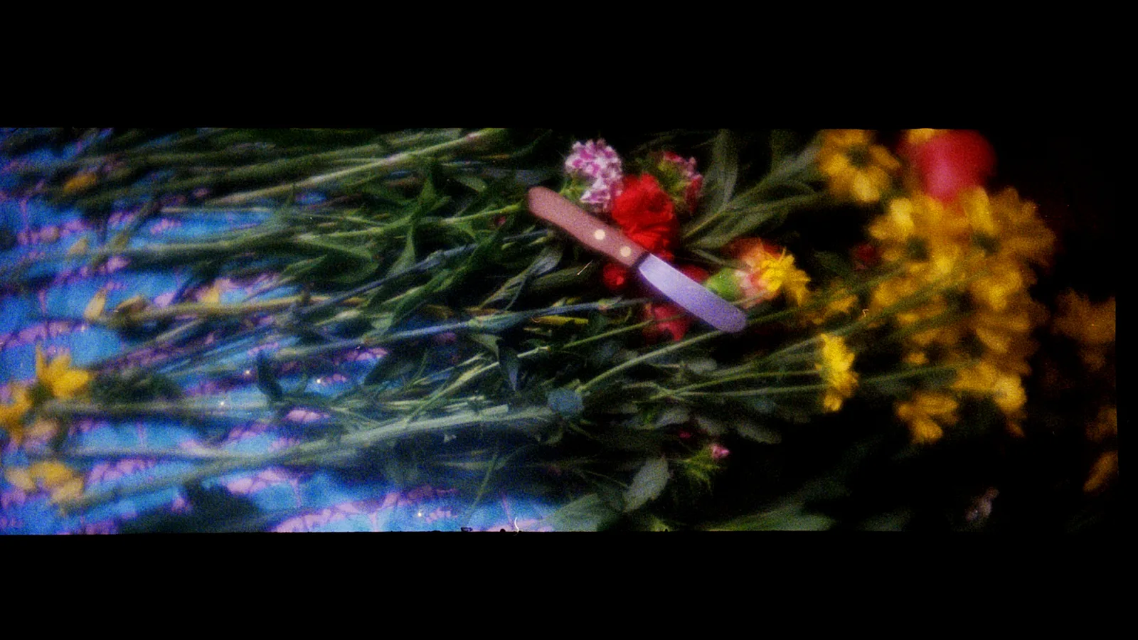 Un couteau à beurre posé sur des fleurs